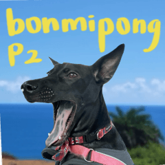 bonmipong part2