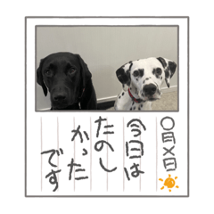 seira_20220925184916