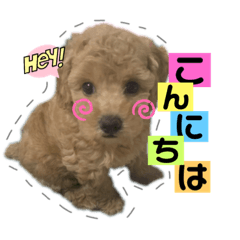 aoi_20220925200538