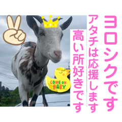 sayuri_20220925204736