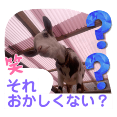 sayuri_20220925214700