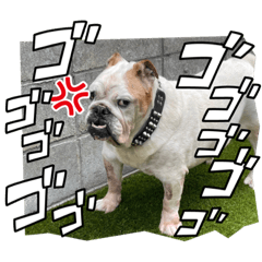 groupyoshida_20220926001155