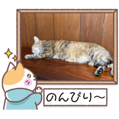 megumi_20220925224939