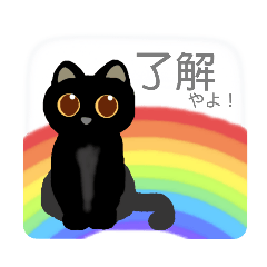 黒猫クロネコ　岐阜弁　(日常会話)　岐阜県