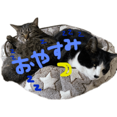 sayuri_20220926143912