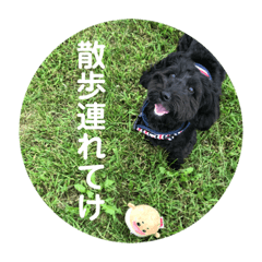 suzu_20220926163825