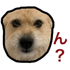 Seira_20220927002617