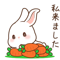Cute eared rabbit 1 (JP)