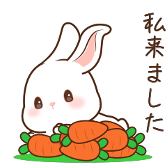 かわいいウサギ 1 - LINE スタンプ | LINE STORE