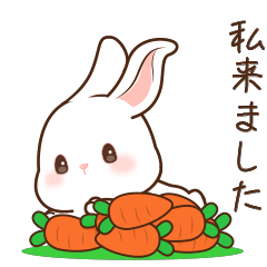 Cute eared rabbit 1 (JP)
