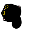 Owl Black Cat Animation
