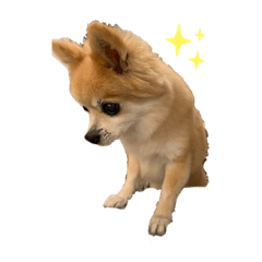 Shiho_20220927000408