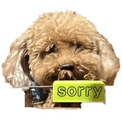 hiyori_20220926205212