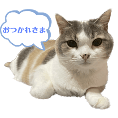 hana_20220926224234