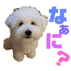 aoi_20220926212746