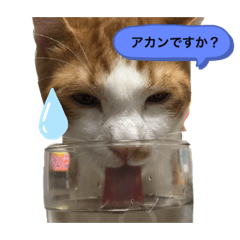 miyuu_20220926213106