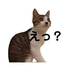 Yn_20220926220919