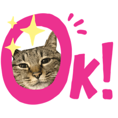 mery._20220926215507