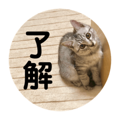 Chihiro Kuraseko_20220926224037