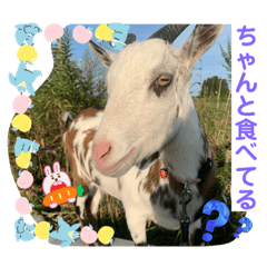 sayuri_20220927114041