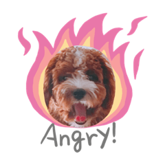 maichi_20220927122335