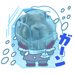 hana_20220927130942