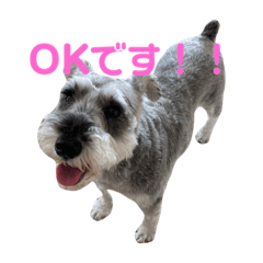 Natsumi_20220927155909