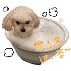 MANMARU_20220927191633