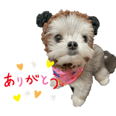 achi0912