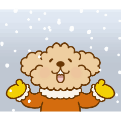 MOVE! Putaro the Poodle in Winter