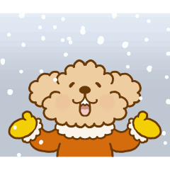 MOVE! Putaro the Poodle in Winter