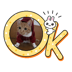 takanu-_20220927201149