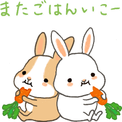Cute moving white rabbit & brown rabbit