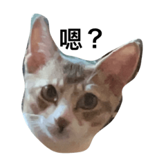 密豆子