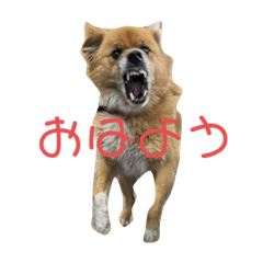 komatsu_mental_20220927201327