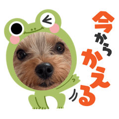 Emily_20220928154259