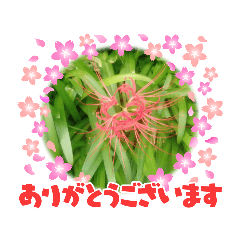Megumi_20220928161604