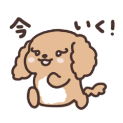 cute poodle dog character stickers