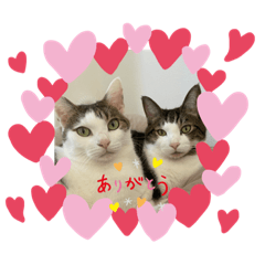 Hikari_20220928184100