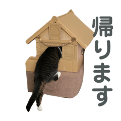 Natsumi_20220929002149