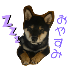 kchan_20220928195433