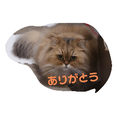 miko_20220928203435