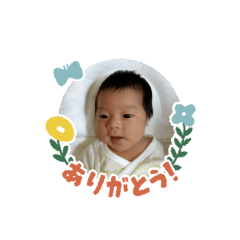 tanuki_20220928210047