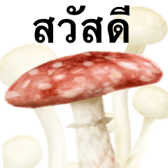 I am mushroom 6