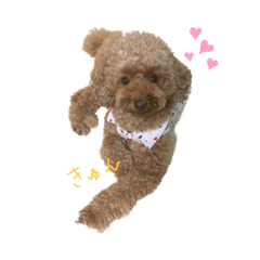 Yuka_20220928221509