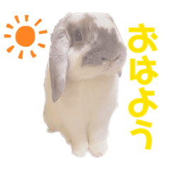 shiho_20220928233802