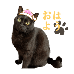 棗と叶 - LINE スタンプ | LINE STORE