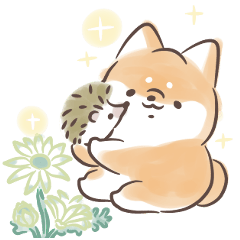Shiba Inu Dog & Happy hedgehog