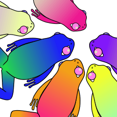 24 color frogs