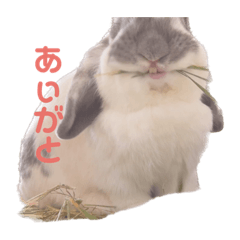 shiho_20220928235107